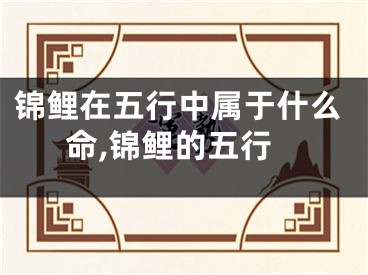 锦鲤在五行中属于什么命,锦鲤的五行