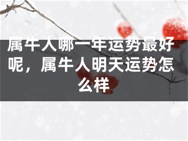 属牛人哪一年运势最好呢，属牛人明天运势怎么样