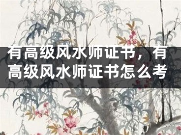 有高级风水师证书，有高级风水师证书怎么考