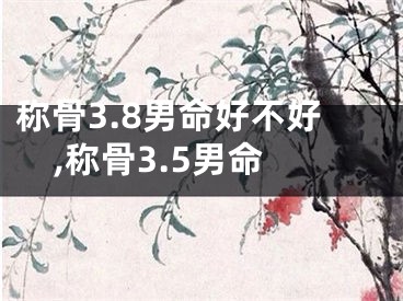 称骨3.8男命好不好,称骨3.5男命