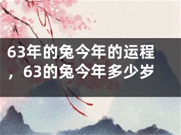 63年的兔今年的运程，63的兔今年多少岁