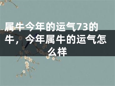 属牛今年的运气73的牛，今年属牛的运气怎么样