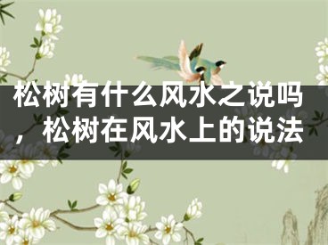 松树有什么风水之说吗，松树在风水上的说法