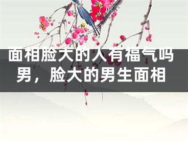 面相脸大的人有福气吗男，脸大的男生面相