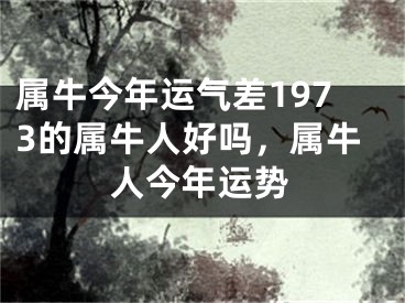 属牛今年运气差1973的属牛人好吗，属牛人今年运势