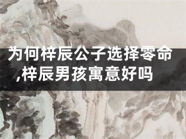 为何梓辰公子选择零命,梓辰男孩寓意好吗