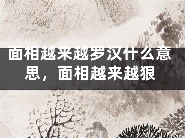 面相越来越罗汉什么意思，面相越来越狠