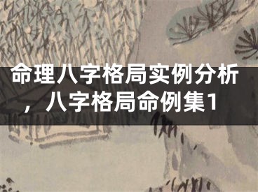 命理八字格局实例分析，八字格局命例集1