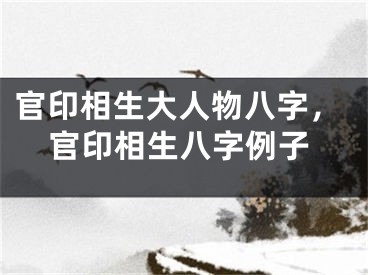 官印相生大人物八字，官印相生八字例子