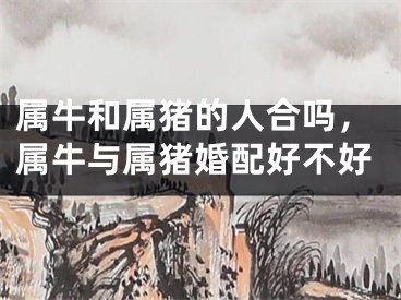 属牛和属猪的人合吗，属牛与属猪婚配好不好