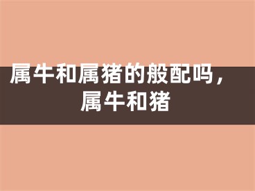 属牛和属猪的般配吗，属牛和猪
