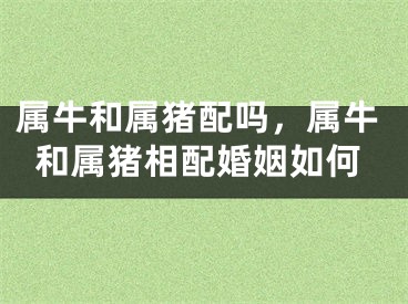 属牛和属猪配吗，属牛和属猪相配婚姻如何