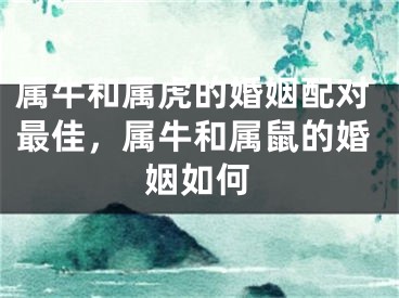 属牛和属虎的婚姻配对最佳，属牛和属鼠的婚姻如何