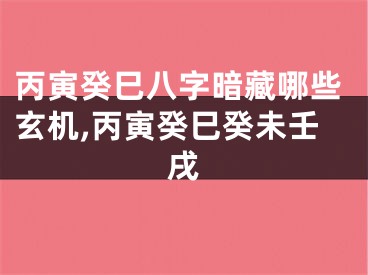 丙寅癸巳八字暗藏哪些玄机,丙寅癸巳癸未壬戌