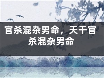 官杀混杂男命,天干官杀混杂男命