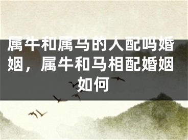 属牛和属马的人配吗婚姻，属牛和马相配婚姻如何