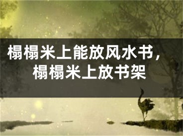 榻榻米上能放风水书，榻榻米上放书架
