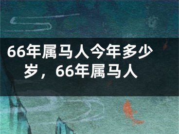 66年属马人今年多少岁，66年属马人