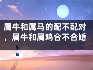 属牛和属马的配不配对，属牛和属鸡合不合婚