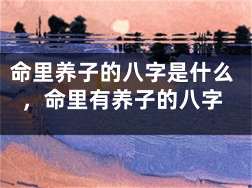 命里养子的八字是什么，命里有养子的八字