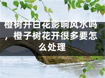 橙树开白花影响风水吗，橙子树花开很多要怎么处理