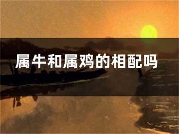 属牛和属鸡的相配吗