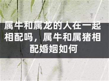 属牛和属龙的人在一起相配吗，属牛和属猪相配婚姻如何