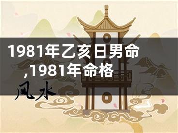 1981年乙亥日男命,1981年命格