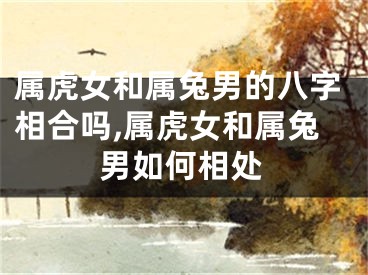 属虎女和属兔男的八字相合吗,属虎女和属兔男如何相处