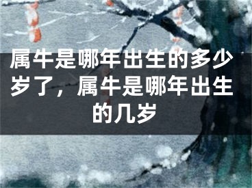 属牛是哪年出生的多少岁了，属牛是哪年出生的几岁