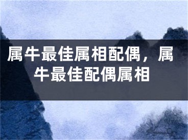 属牛最佳属相配偶，属牛最佳配偶属相