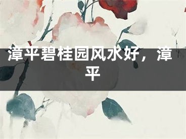 漳平碧桂园风水好，漳平