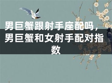 男巨蟹跟射手座配吗，男巨蟹和女射手配对指数