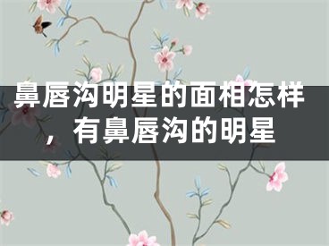鼻唇沟明星的面相怎样，有鼻唇沟的明星