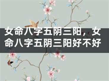 女命八字五阴三阳，女命八字五阴三阳好不好