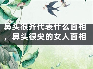 鼻头很齐代表什么面相，鼻头很尖的女人面相