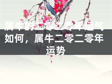 属牛的二零二零年运气如何，属牛二零二零年运势