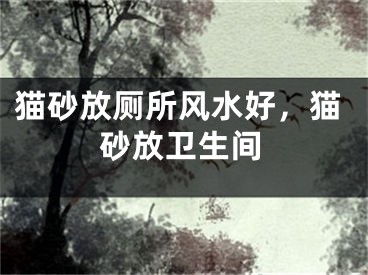 猫砂放厕所风水好，猫砂放卫生间