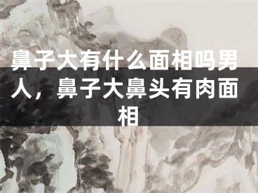 鼻子大有什么面相吗男人，鼻子大鼻头有肉面相