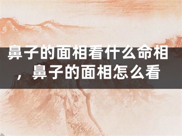 鼻子的面相看什么命相，鼻子的面相怎么看
