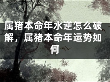 属猪本命年水逆怎么破解，属猪本命年运势如何