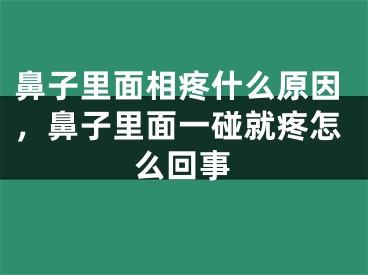 鼻子里面相疼什么原因，鼻子里面一碰就疼怎么回事