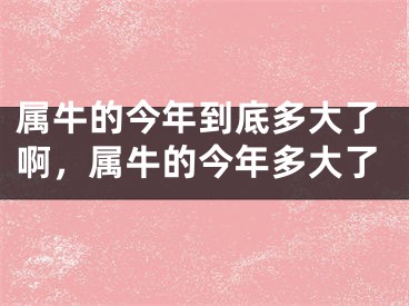 属牛的今年到底多大了啊，属牛的今年多大了