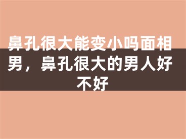 鼻孔很大能变小吗面相男，鼻孔很大的男人好不好