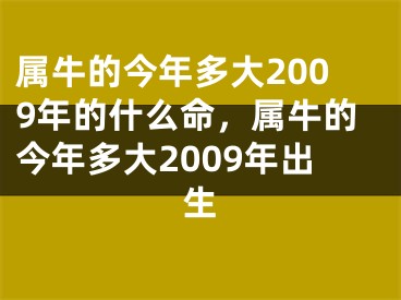 属牛的今年多大2009年的什么命，属牛的今年多大2009年出生