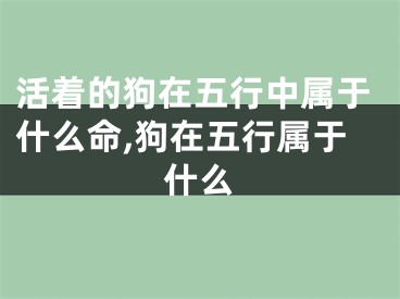 活着的狗在五行中属于什么命,狗在五行属于什么
