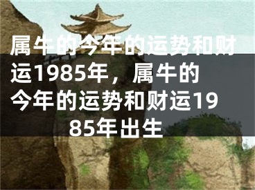 属牛的今年的运势和财运1985年，属牛的今年的运势和财运1985年出生