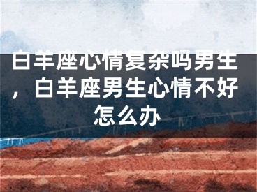 白羊座心情复杂吗男生，白羊座男生心情不好怎么办