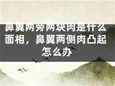 鼻翼两旁两块肉是什么面相，鼻翼两侧肉凸起怎么办