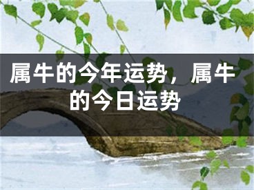 属牛的今年运势，属牛的今日运势